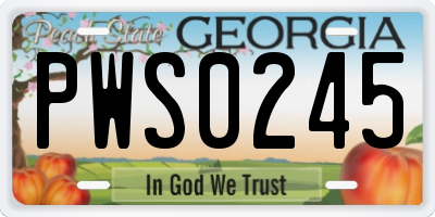 GA license plate PWS0245