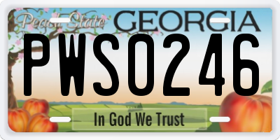 GA license plate PWS0246