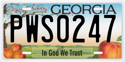 GA license plate PWS0247