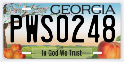 GA license plate PWS0248