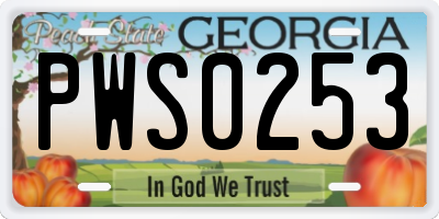 GA license plate PWS0253