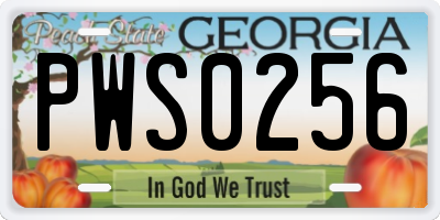GA license plate PWS0256