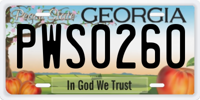 GA license plate PWS0260