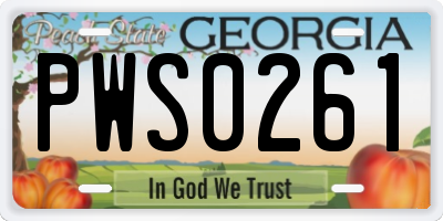 GA license plate PWS0261