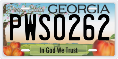 GA license plate PWS0262