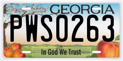 GA license plate PWS0263