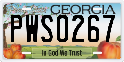 GA license plate PWS0267