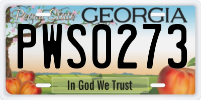 GA license plate PWS0273