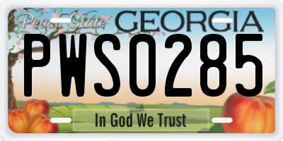 GA license plate PWS0285