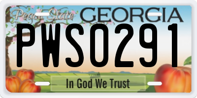 GA license plate PWS0291