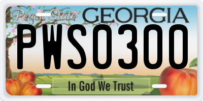 GA license plate PWS0300