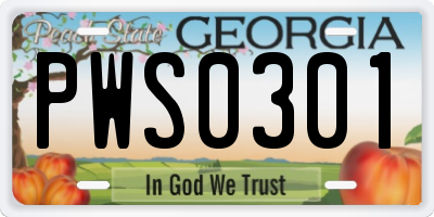 GA license plate PWS0301