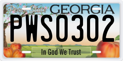 GA license plate PWS0302