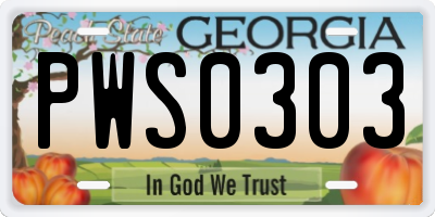 GA license plate PWS0303