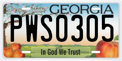 GA license plate PWS0305