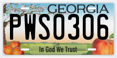 GA license plate PWS0306