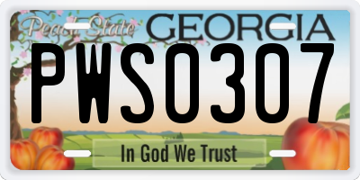 GA license plate PWS0307