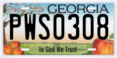 GA license plate PWS0308