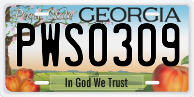 GA license plate PWS0309