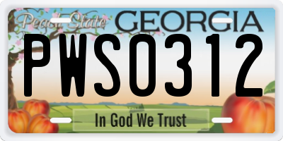 GA license plate PWS0312