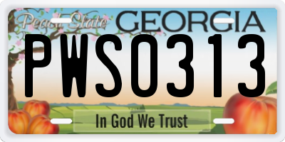 GA license plate PWS0313