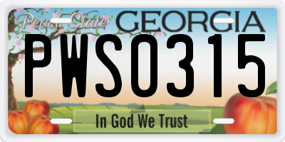 GA license plate PWS0315