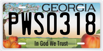 GA license plate PWS0318