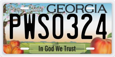 GA license plate PWS0324