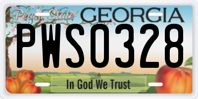 GA license plate PWS0328