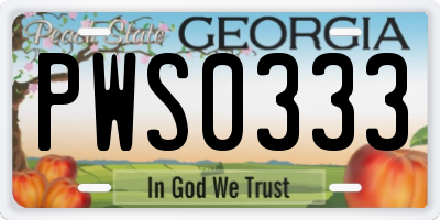 GA license plate PWS0333