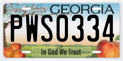 GA license plate PWS0334