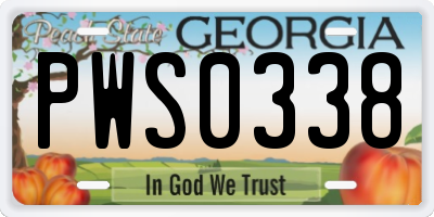 GA license plate PWS0338