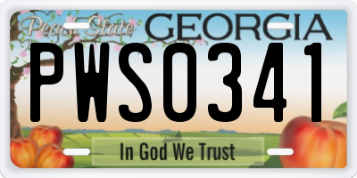 GA license plate PWS0341