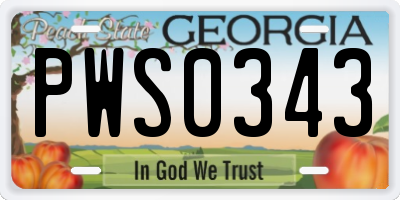 GA license plate PWS0343