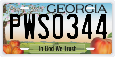 GA license plate PWS0344