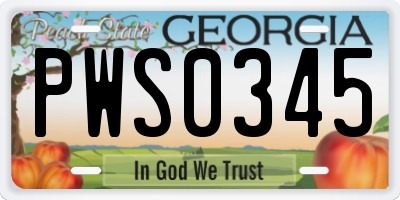 GA license plate PWS0345