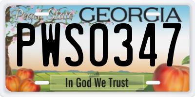 GA license plate PWS0347