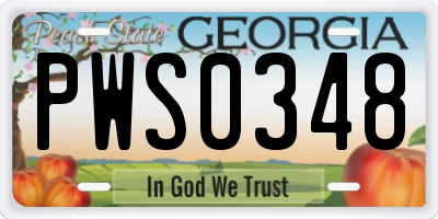 GA license plate PWS0348
