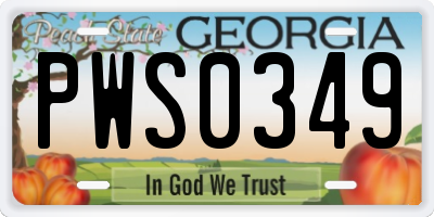 GA license plate PWS0349