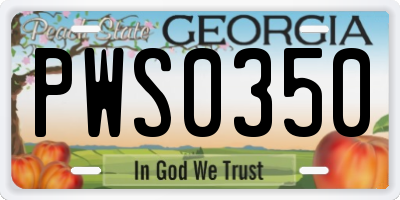 GA license plate PWS0350