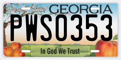 GA license plate PWS0353