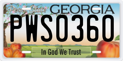 GA license plate PWS0360