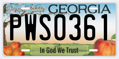 GA license plate PWS0361