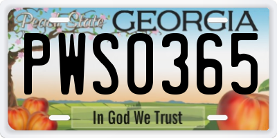 GA license plate PWS0365
