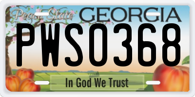GA license plate PWS0368