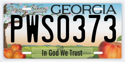 GA license plate PWS0373