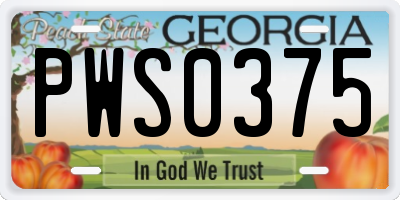 GA license plate PWS0375