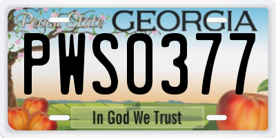 GA license plate PWS0377