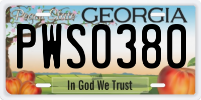 GA license plate PWS0380