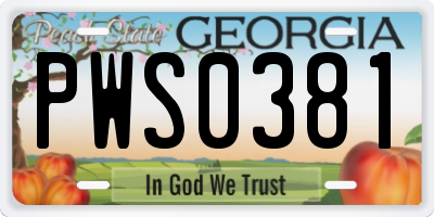 GA license plate PWS0381